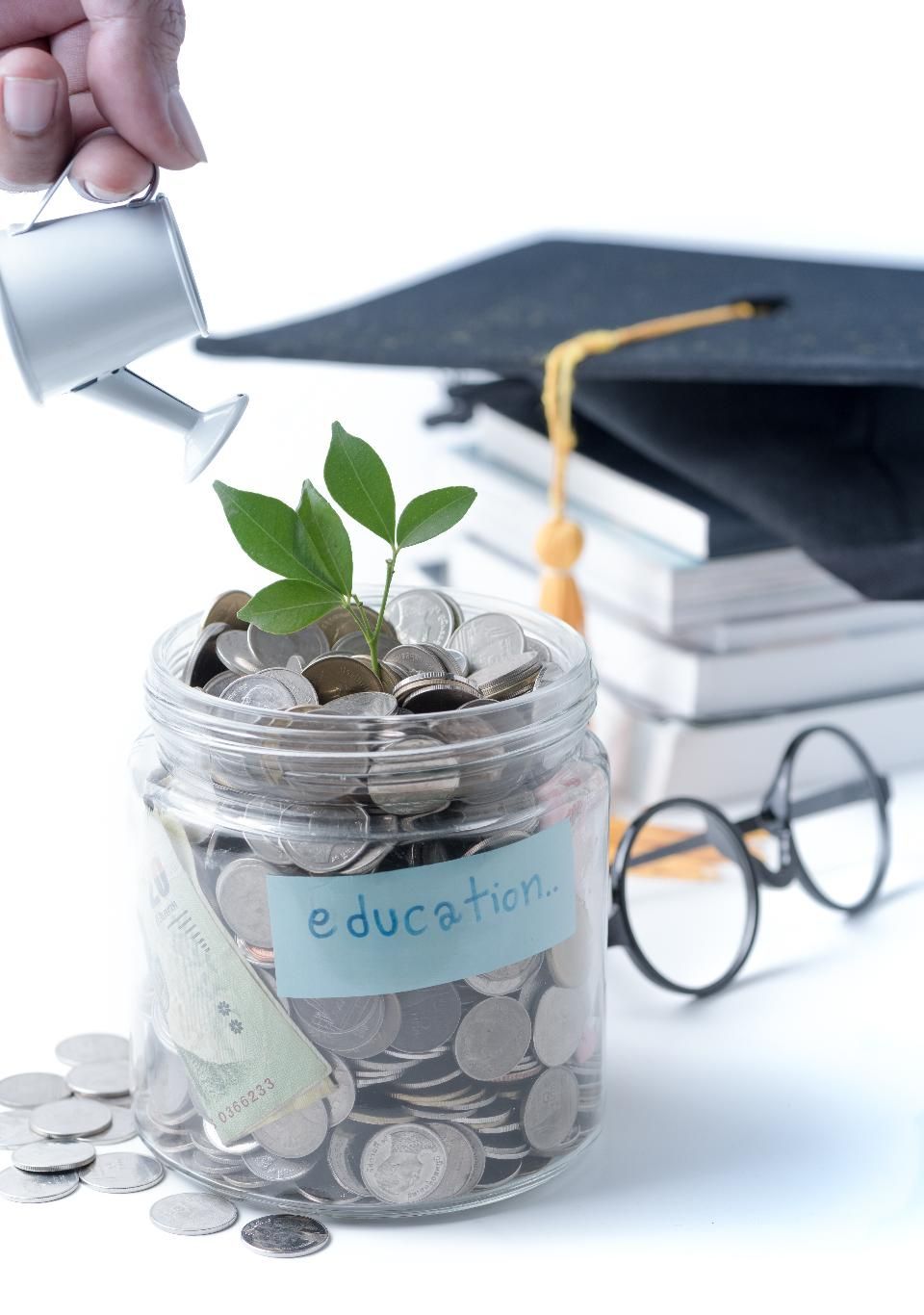 Stafford Student Loan